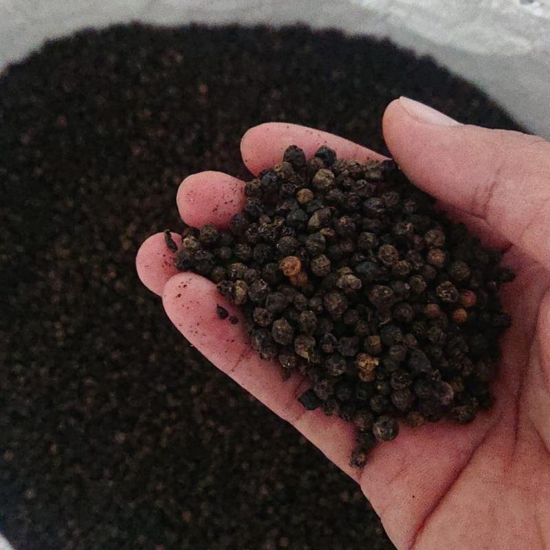 Black Pepper Premium