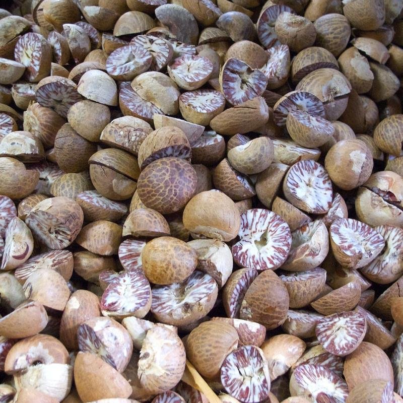Areca Nut Premium