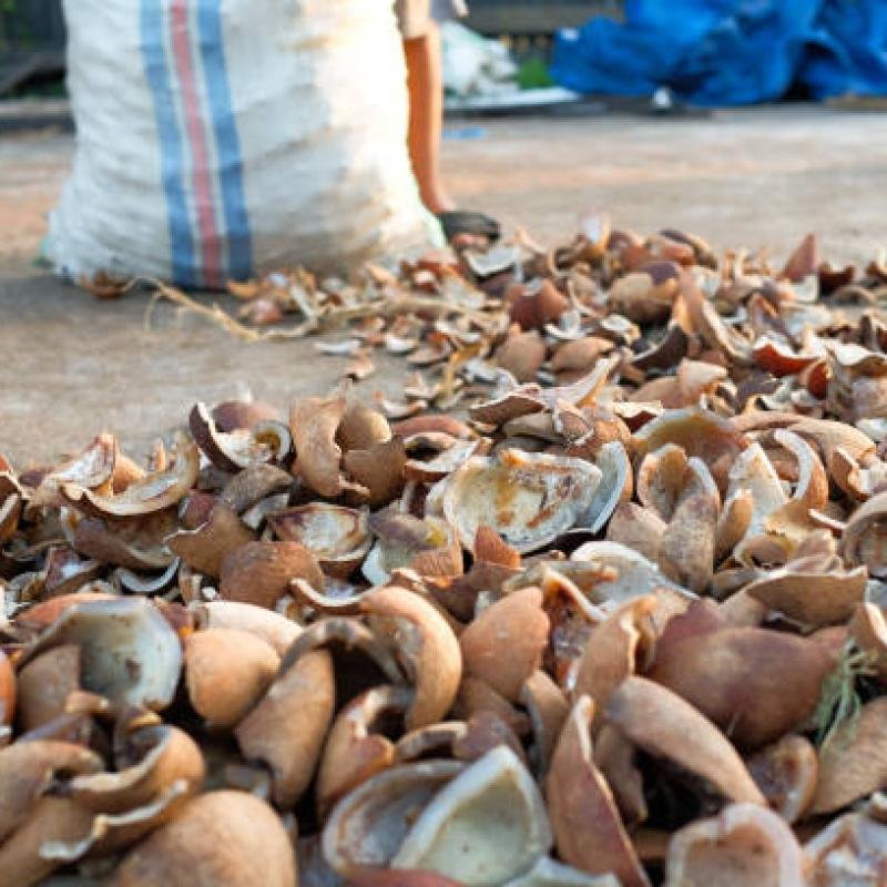 Copra Coconut Premium