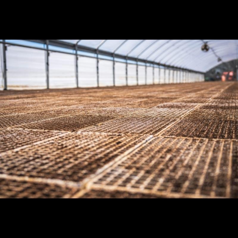 Cocopeat Block